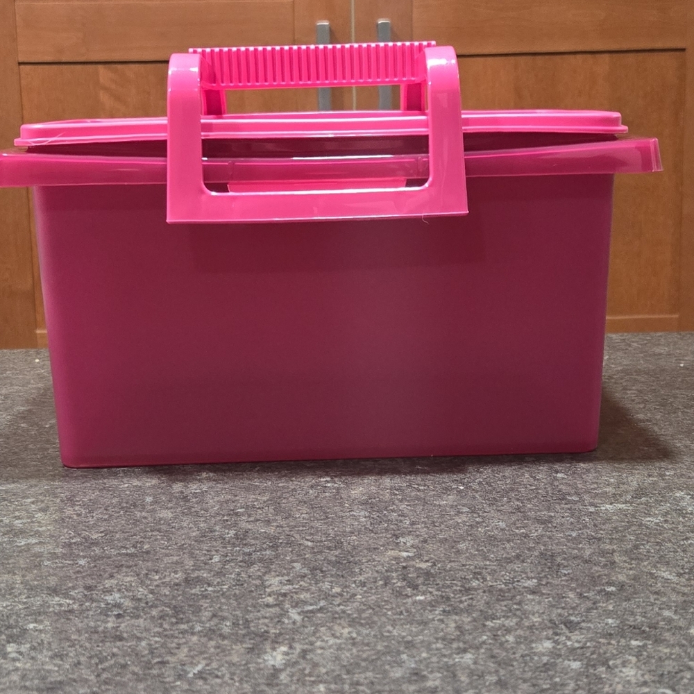 EXCLUSIVE Color- Tupperware Small Carryall